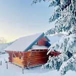 Wood Log * Yssingeaux