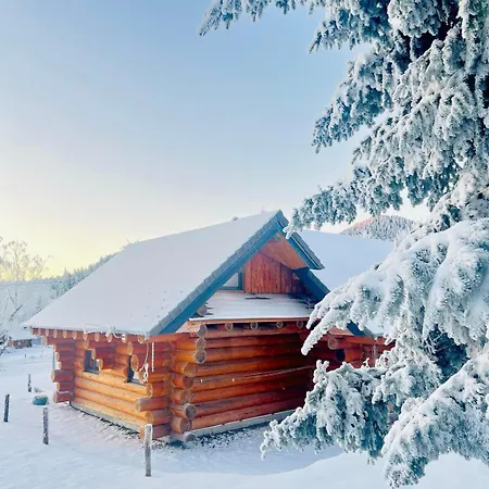 Wood Log * Yssingeaux